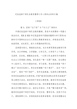 (19篇)纪检监察干部队伍教育整顿工作心得体会材料汇编.docx