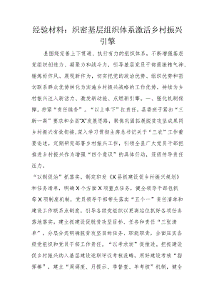 经验材料：织密基层组织体系激活乡村振兴引擎.docx