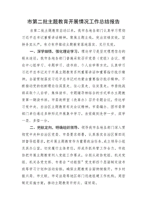 市第二批主题教育开展情况工作总结报告.docx