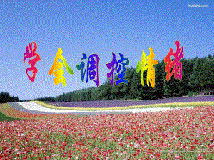 6.2学会调控情绪调控.ppt