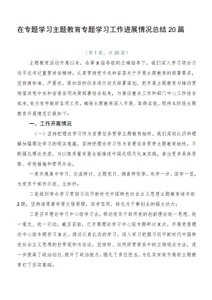 在专题学习主题教育专题学习工作进展情况总结20篇.docx