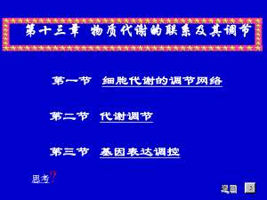 第13章物质代谢的联系及其调控.ppt