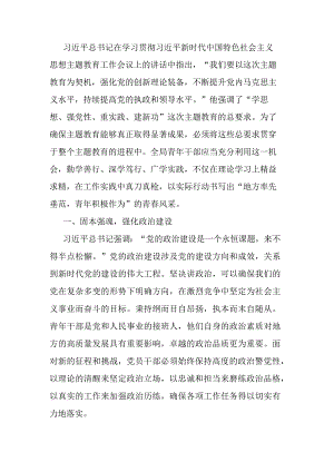 专题党课：贯彻主题教育精神 扬青年风采 谱无悔青春.docx
