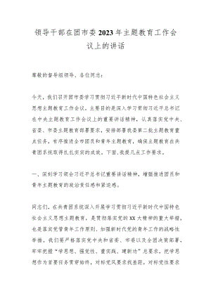 领导干部在团市委2023年主题教育工作会议上的讲话.docx