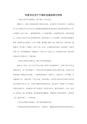 市委书记关于干部队伍建设研讨材料.docx