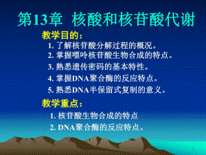 第13章核酸和核苷酸代谢.ppt