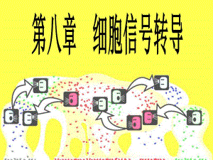 8细胞信号转导66.ppt