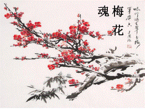 6.梅花魂.ppt