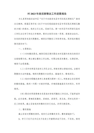 村2023年度巡察整改工作进展报告.docx