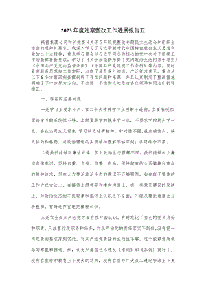 2023年度巡察整改工作进展报告五.docx