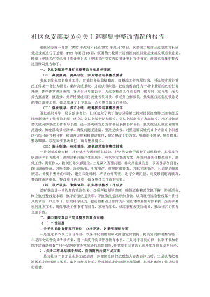 社区总支部委员会关于巡察集中整改情况的报告.docx