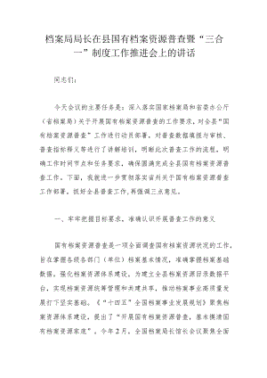 档案局局长在县国有档案资源普查暨“三合一”制度工作推进会上的讲话.docx