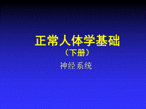 第13章神经系统1.ppt