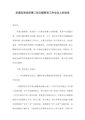 在基层党组织第二批主题教育工作会议上的讲话.docx