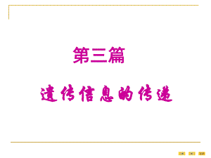 第13章真核基因与基因组.ppt