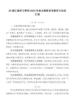20篇汇编学习贯彻2023年度主题教育专题学习总结汇报.docx