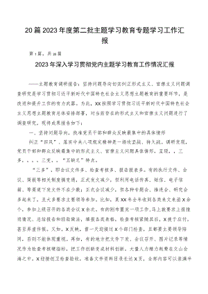 20篇2023年度第二批主题学习教育专题学习工作汇报.docx