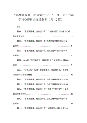 2023“思想要提升我该懂什么”“三抓三促”行动学习心得体会交流材料（共10篇）汇编.docx
