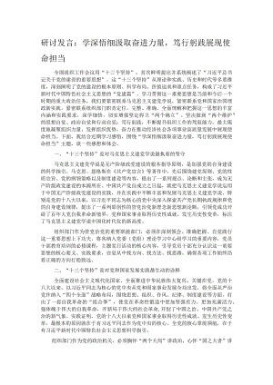 研讨发言：学深悟细汲取奋进力量笃行躬践展现使命担当.docx