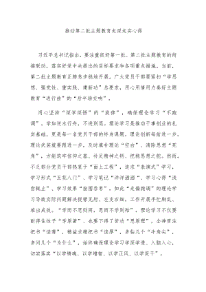 推动第二批主题教育走深走实心得3篇.docx