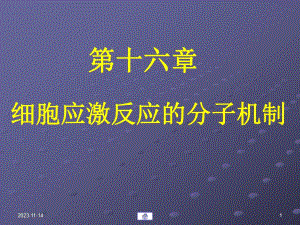 第16章细胞应激反应的.ppt