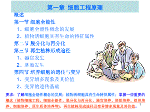 第1章细胞工程原理.ppt