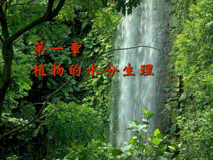 第1章水分.ppt