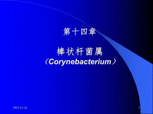 第14章棒状杆菌.ppt