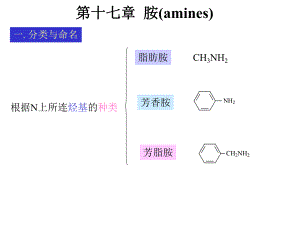 第17章胺.ppt
