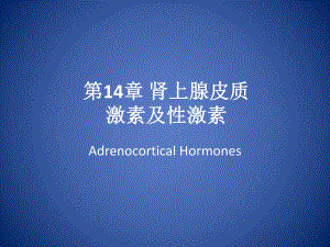 第14章肾上腺皮质激素及性激素.ppt