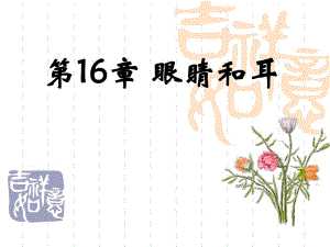 第16章眼和耳.ppt