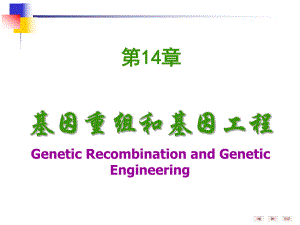 第14章基因重组和基因工程药事情.ppt