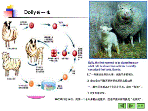第14章基因工程.ppt