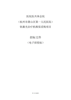 医院医共体总院钬激光治疗机维保采购项目招标文件.docx
