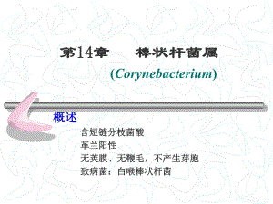 第14章棒状杆菌w.ppt