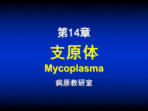 第14章支原体.ppt