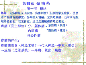 第19章镇痛药.ppt