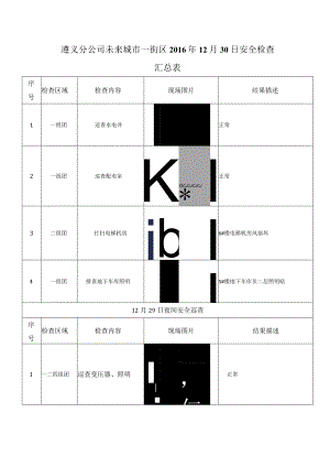 《遵义分公司未来城市一街区工程技术部2016年12月30日安全检查汇总表》.docx
