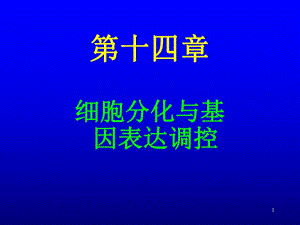 第14章细胞分化与基因表达调控.ppt