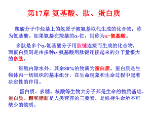 第17章氨基酸蛋白质.ppt