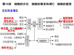 第13讲细胞的分化细胞的衰老和凋亡细胞的癌变名师编辑PPT课件.ppt