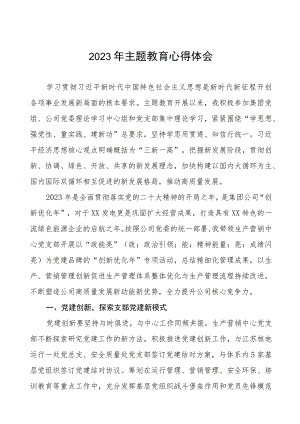 (六篇)2023年公司党委书记关于主题教育心得体会.docx
