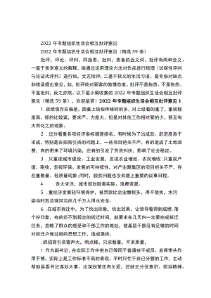 2022年专题组织生活会相互批评意见（精选59条）.docx