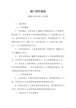 部门评价报告.docx