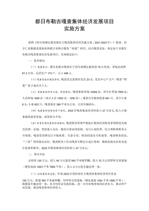 都日布勒吉嘎查集体经济发展项目实施方案.docx