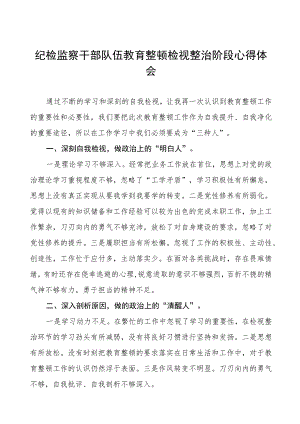 2023年纪检监察干部队伍教育整顿检视整治环节心得体会三篇.docx