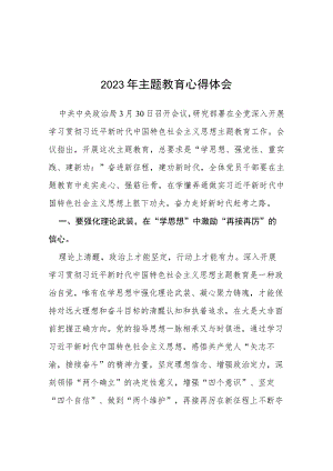 (十四篇)2023年主题教育心得感悟发言体会.docx