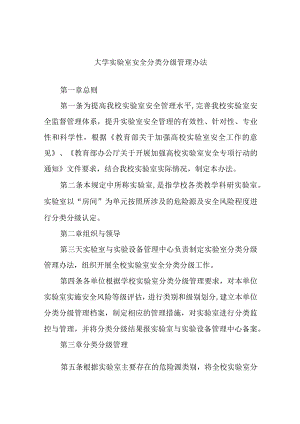 大学实验室安全分类分级管理办法.docx