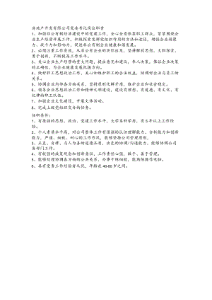 房地产开发有限公司党委书记岗位职责.docx