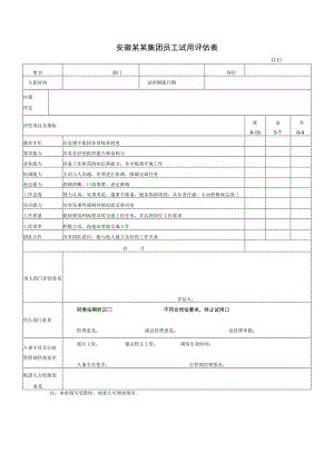 安徽某某集团员工试用评估表.docx